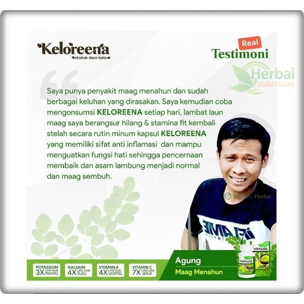 BPOM Daun Kelor Kapsul 100% Asli Ekstrak Moringa Oleifera Isi 100 Kapsul Keloreena Original