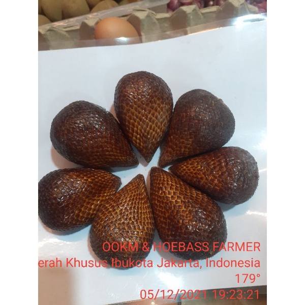 

SALAK 1 KG