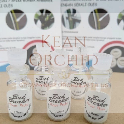 Bud breaker Penumbuh Tunas Anggrek 1gr