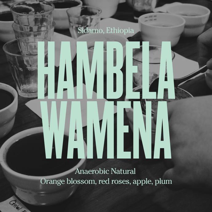 

[COD] ETHIOPIA HAMBELA ANAEROBIC NATURAL - FILTER [COD]