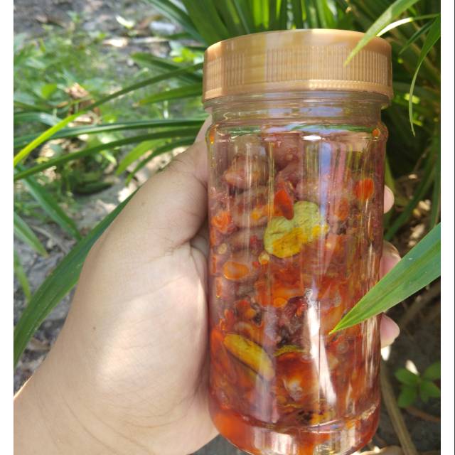 

Sambel baby cumi endeus