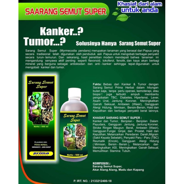 sarang semut super prima herbal
