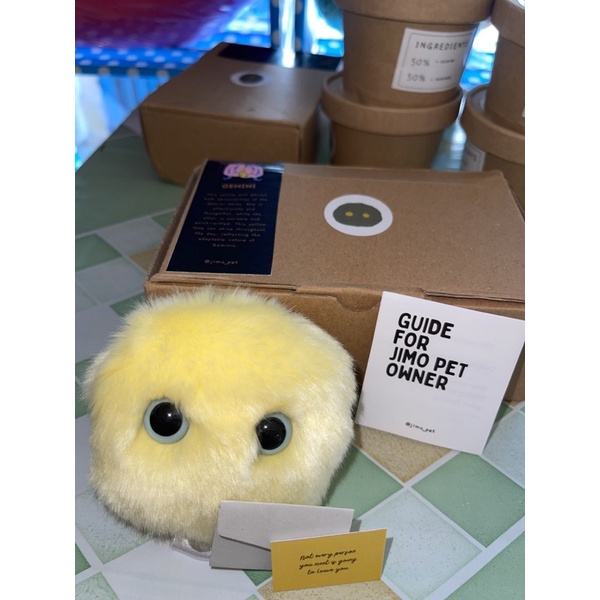 Jimo Pet Gemini for Mental or Happiness