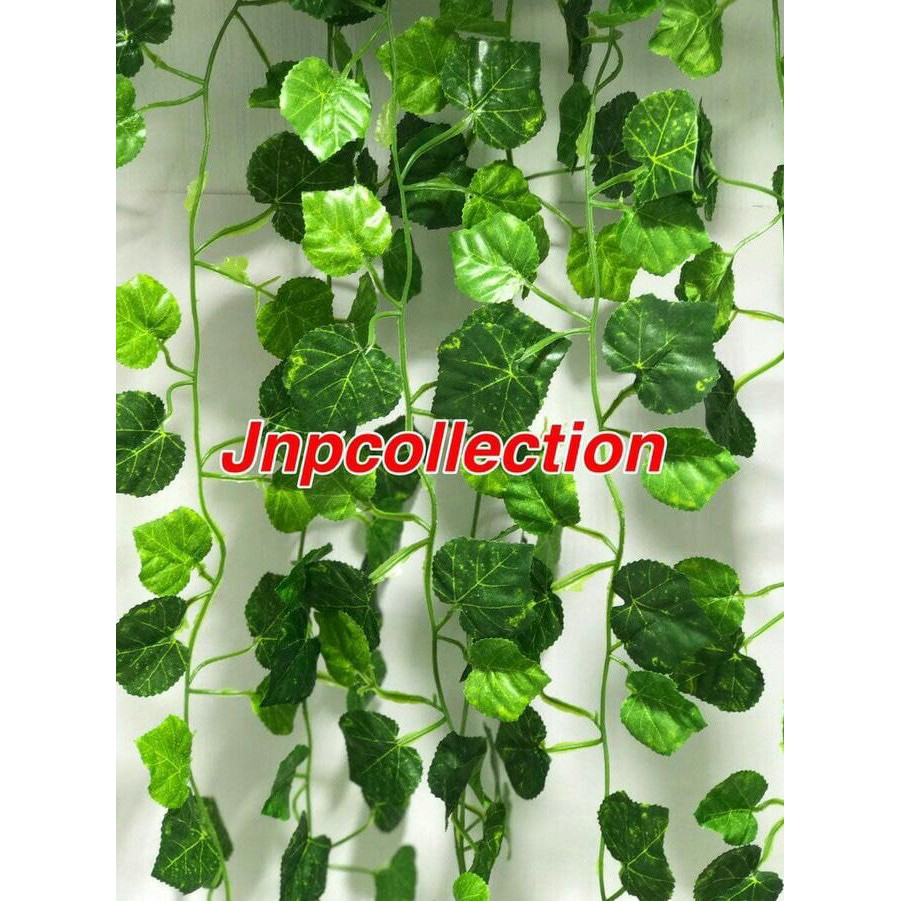 Baru Daun rambat  Daun sintetis  Daun plastik Bunga 