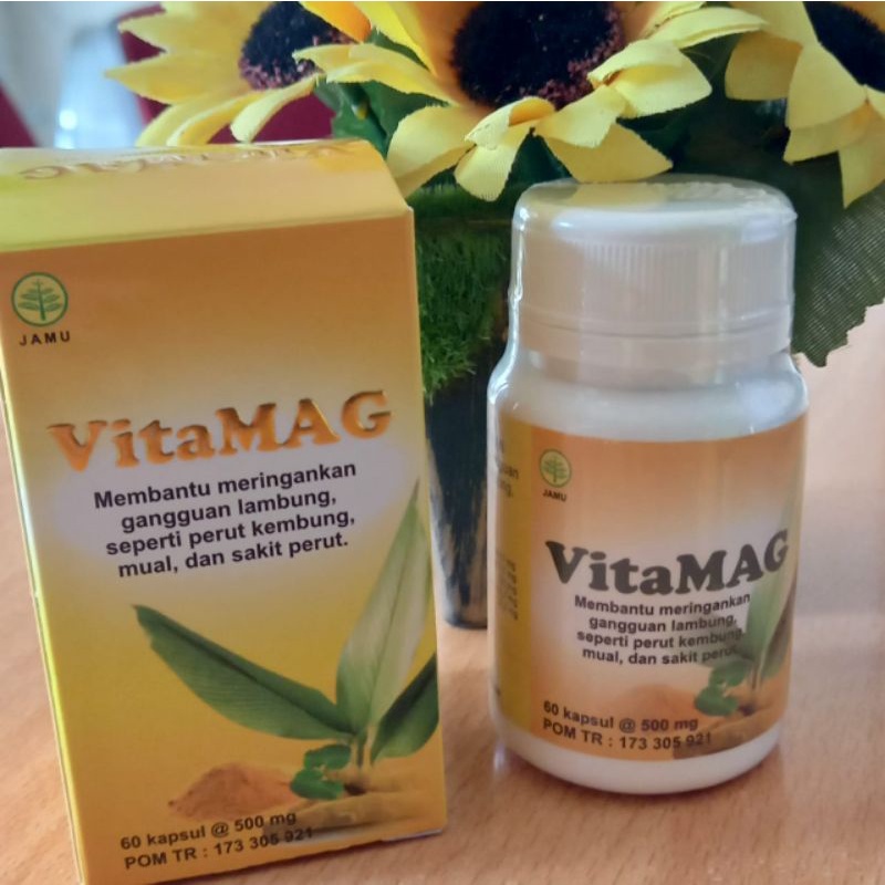 VitaMAG Herbal Insani (Obat herbal untuk penyakit magh)