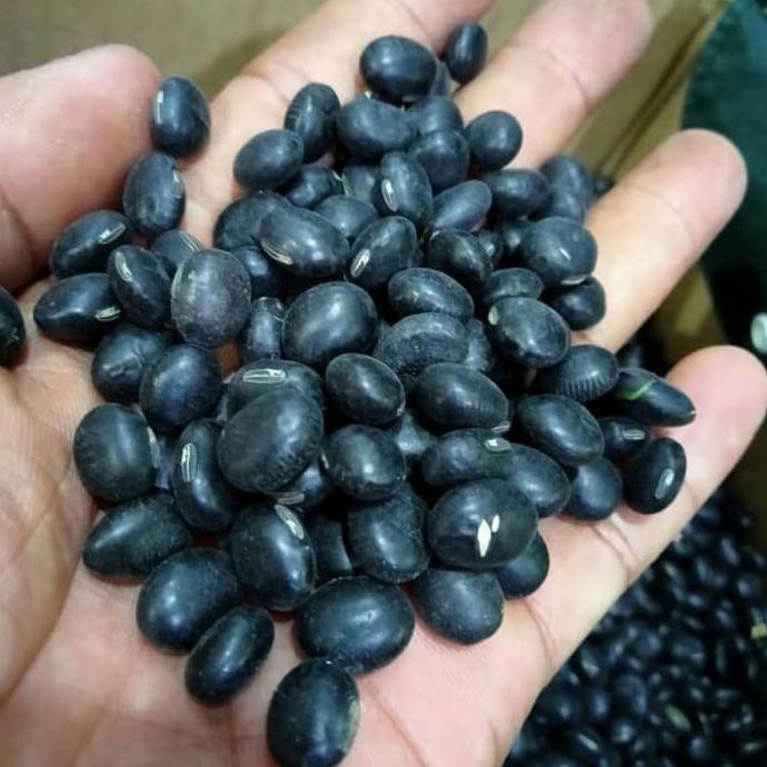 

Kualitas Terbaik - Kedelai Hitam Malika 1Kg