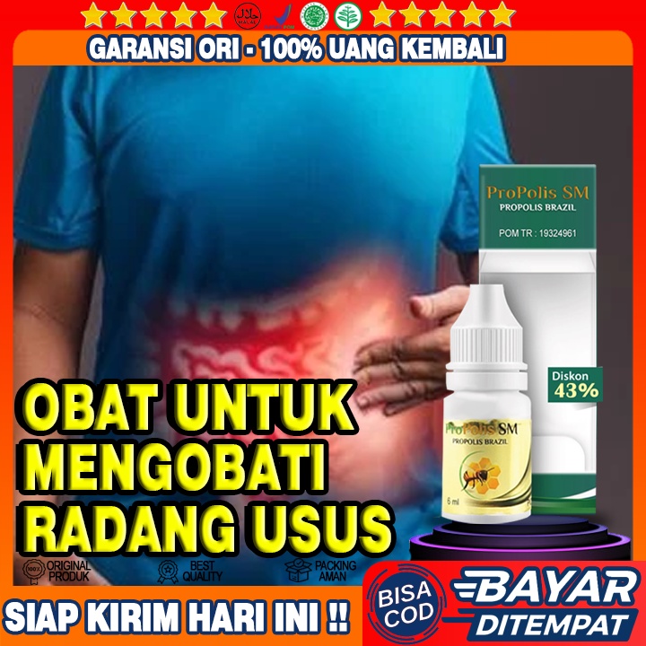 Obat Radang Usus, Usus Buntu, Kanker Usus, Kram Usus, Usus Kecil, Usus Besar, Usus Turun