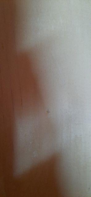 Papan Jati Belanda