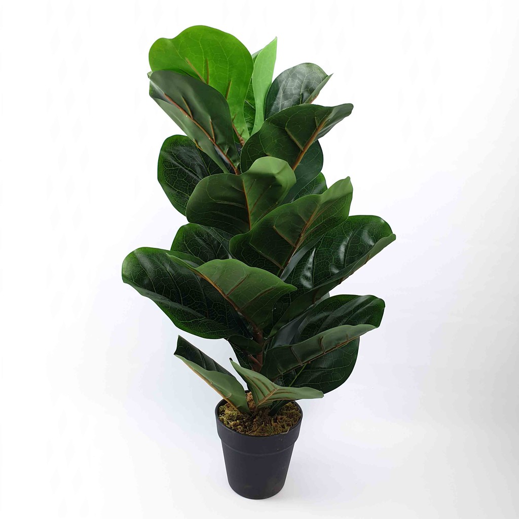Pohon Daun Ketapang Biola Artificial 65 cm + pot/ Pohon Hias Plastik