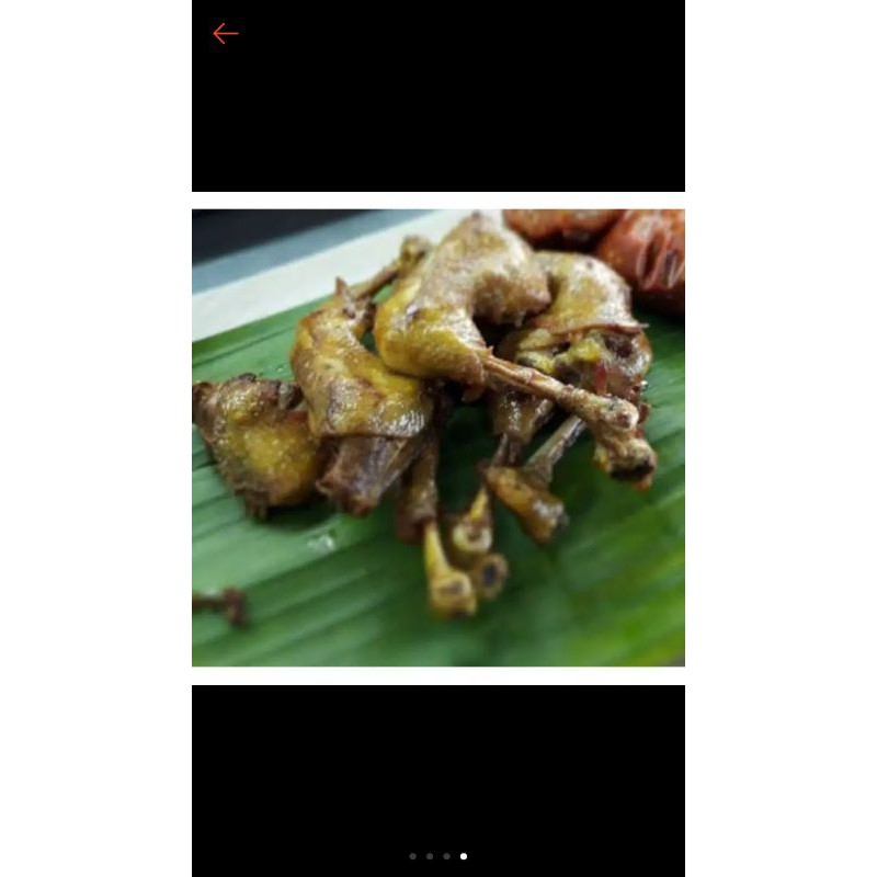 

ayam kampung asli fress