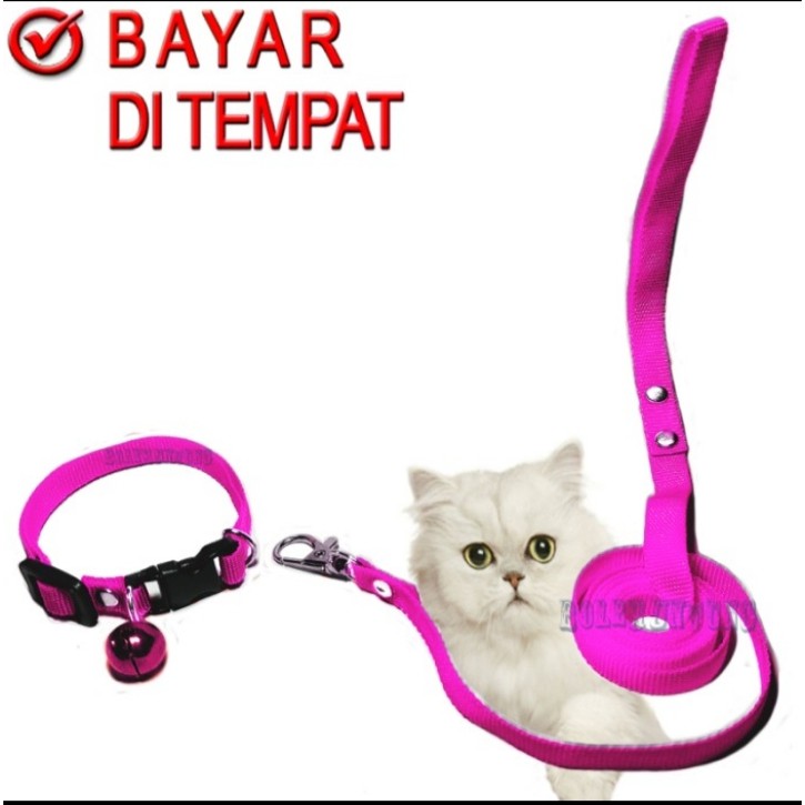 TALI TUTUN HERNES O Kucing Musang Outer Puppy Monyet Pengikat Hewan