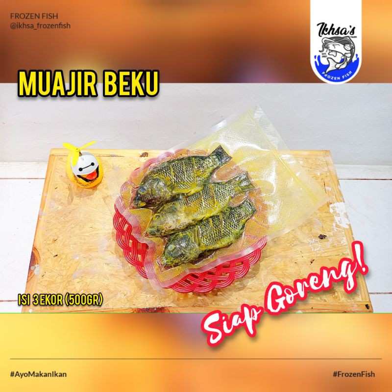 

FrozenFish Mujair Bumbu Kuning / Siap Goreng Halal Isi 3 Ekor