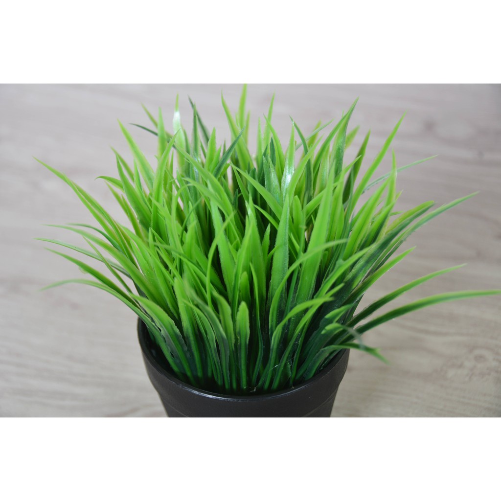 RUMPUT PLASTIK ARTIFICIAL TANAMAN ARTIFICIAL BUNGA PLASTIK SET POT-2