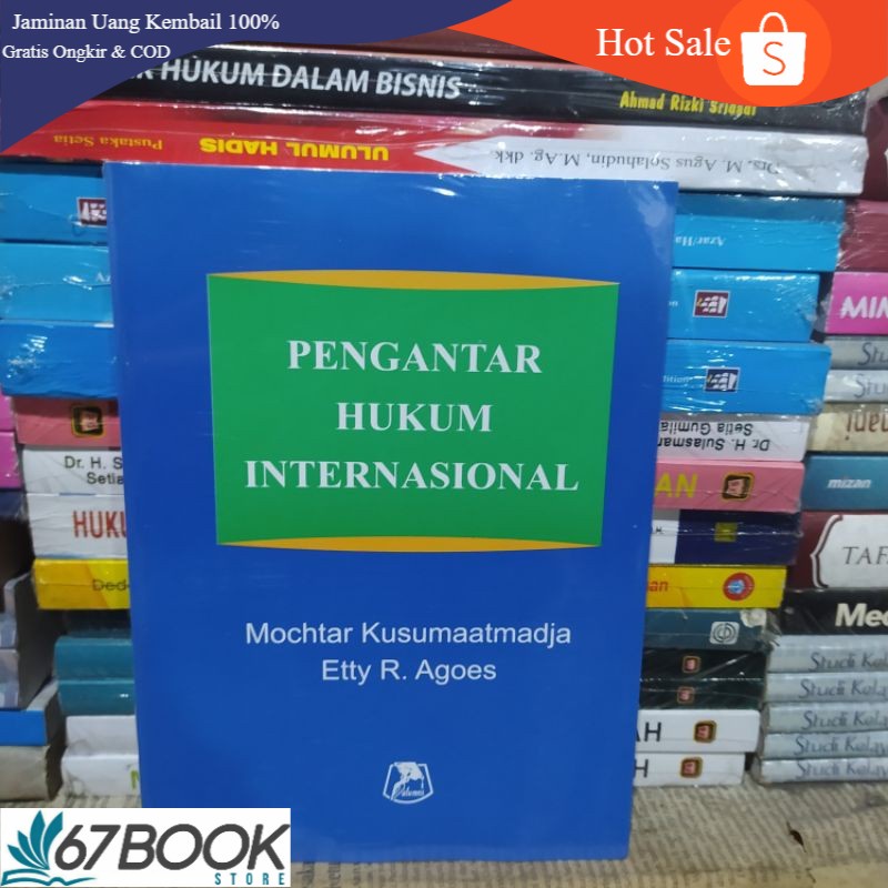 

Pengantar Hukum Internasional