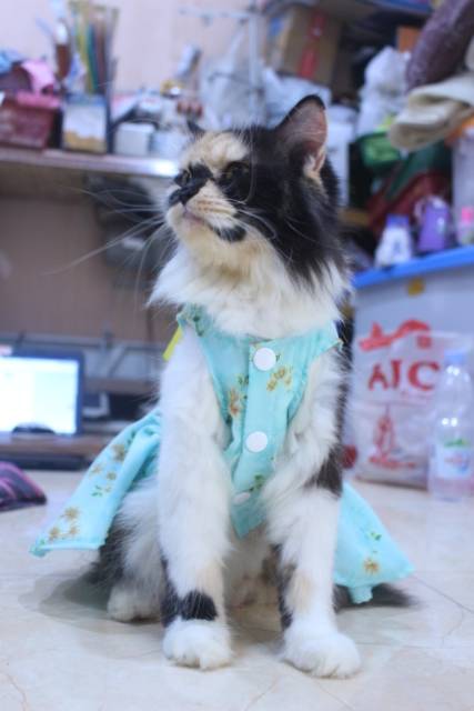 Dress satin toska motif bunga lucu untuk kucing dan anjing / baju kucing murah size S-XL