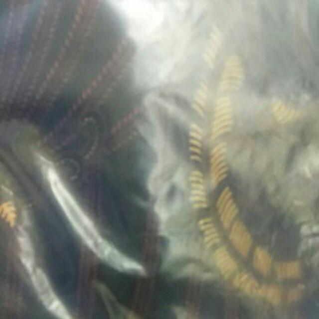 Freypv 7786 Slimfit Long Batik Black Floral Colourfull M-xl Kemeja Batik