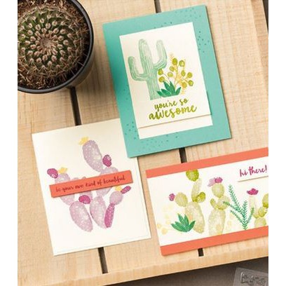 Clear Stamp (Stempel Transparan/Bening) - Awesome Cactus