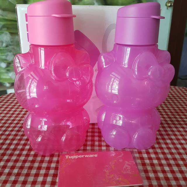 Hello Kitty Bottle (2)