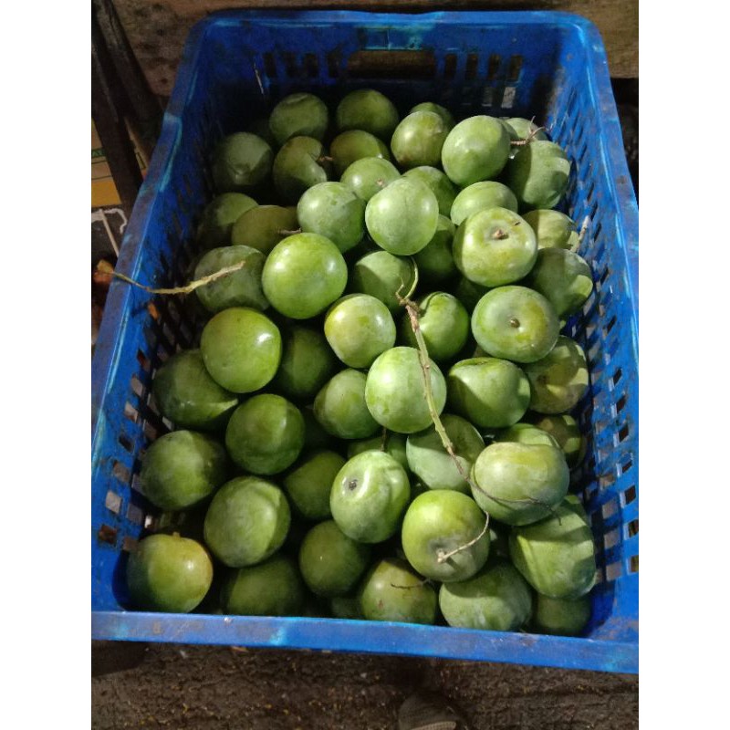 

buah Mangga apel 5 kilogram