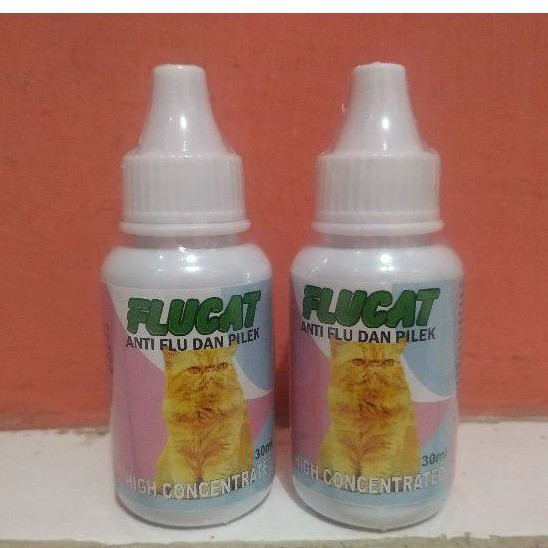 FLUCAT (Anti Flu dan Pilek Kucing)