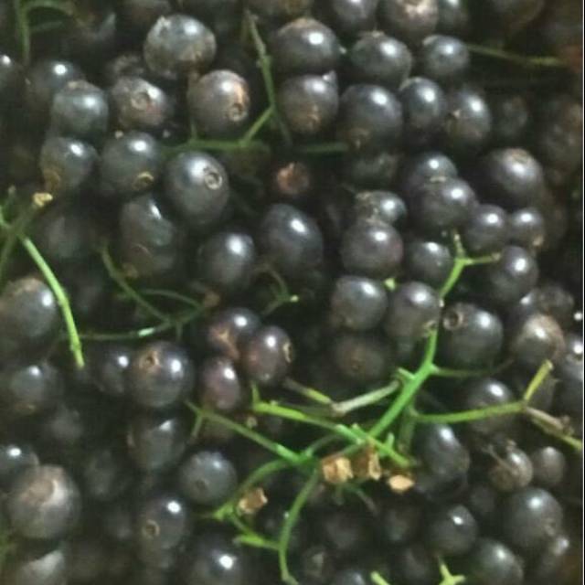 

BUAH KUPA/GOWOK 250 GRM