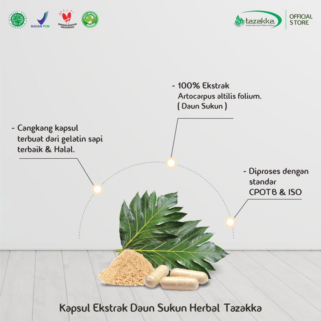 Obat Ginjal Obat gagal Ginjal | Kapsul Herbal DAUN SUKUN Tazakka isi 60 | HALAL BPOM ORIGINAL