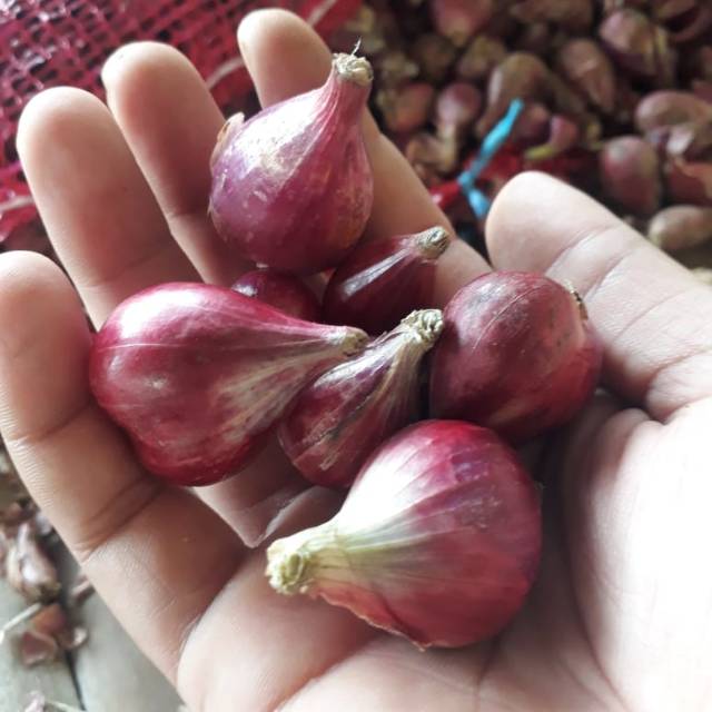 

Bawang merah asli brebes 1 kg