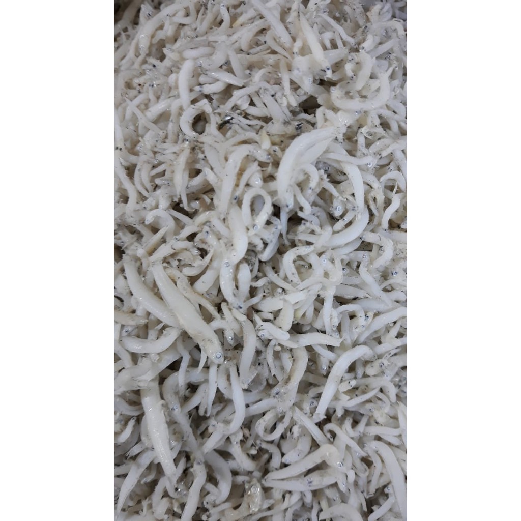 

Teri toge 500 gram