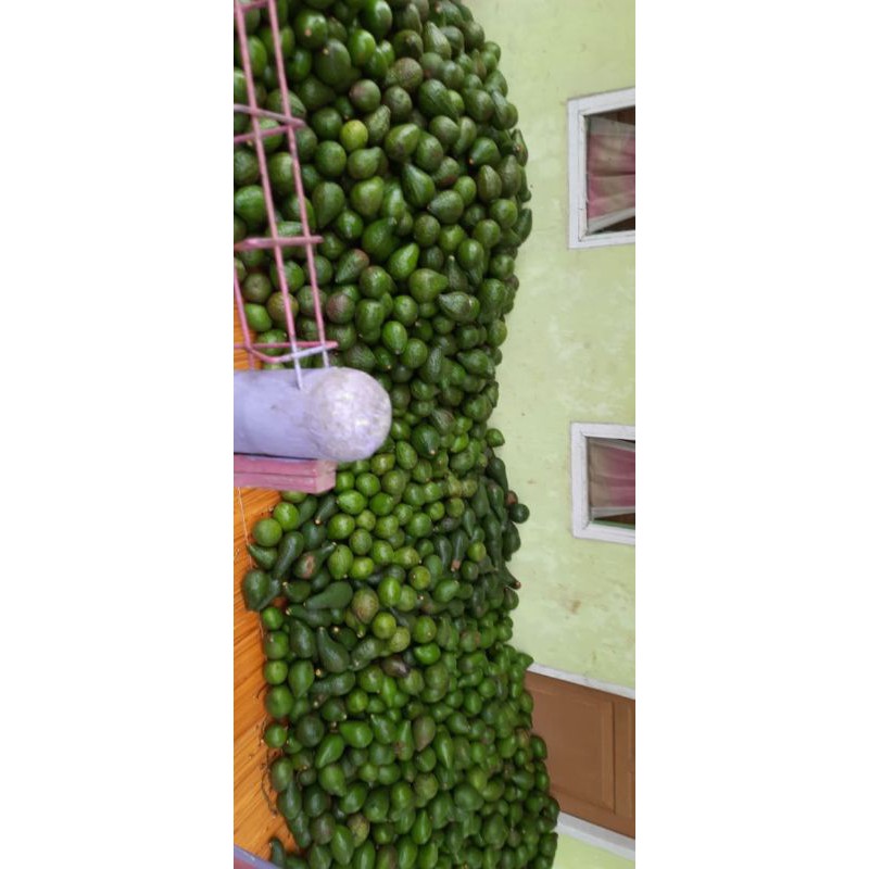 

alpukatmentega