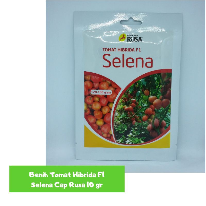 BENIH TOMAT HIBRIDA F1 SELENA CAP RUSA 10 gr