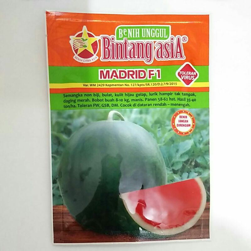 Benih Semangka Madrid F1 20Gram @Cap Bintang Asia