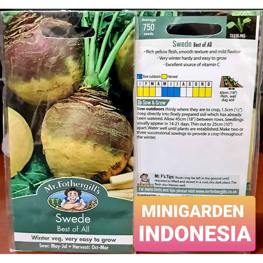 Benih SAYUR BIT SWEDE BEST OF ALL PACK 750 BIJI Mr. Fothergills Bibit Tanaman sayuran buah bit