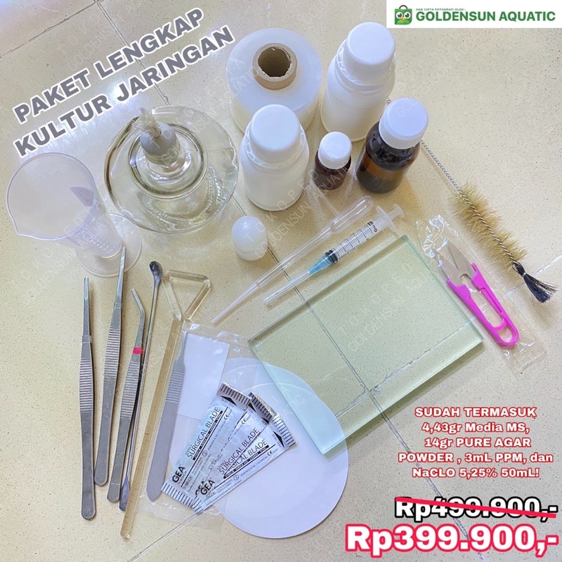 PAKET LENGKAP ALAT KULTUR JARINGAN TANAMAN Set Kit Bahan Laboratorium Kuljar Skala Rumah Tangga