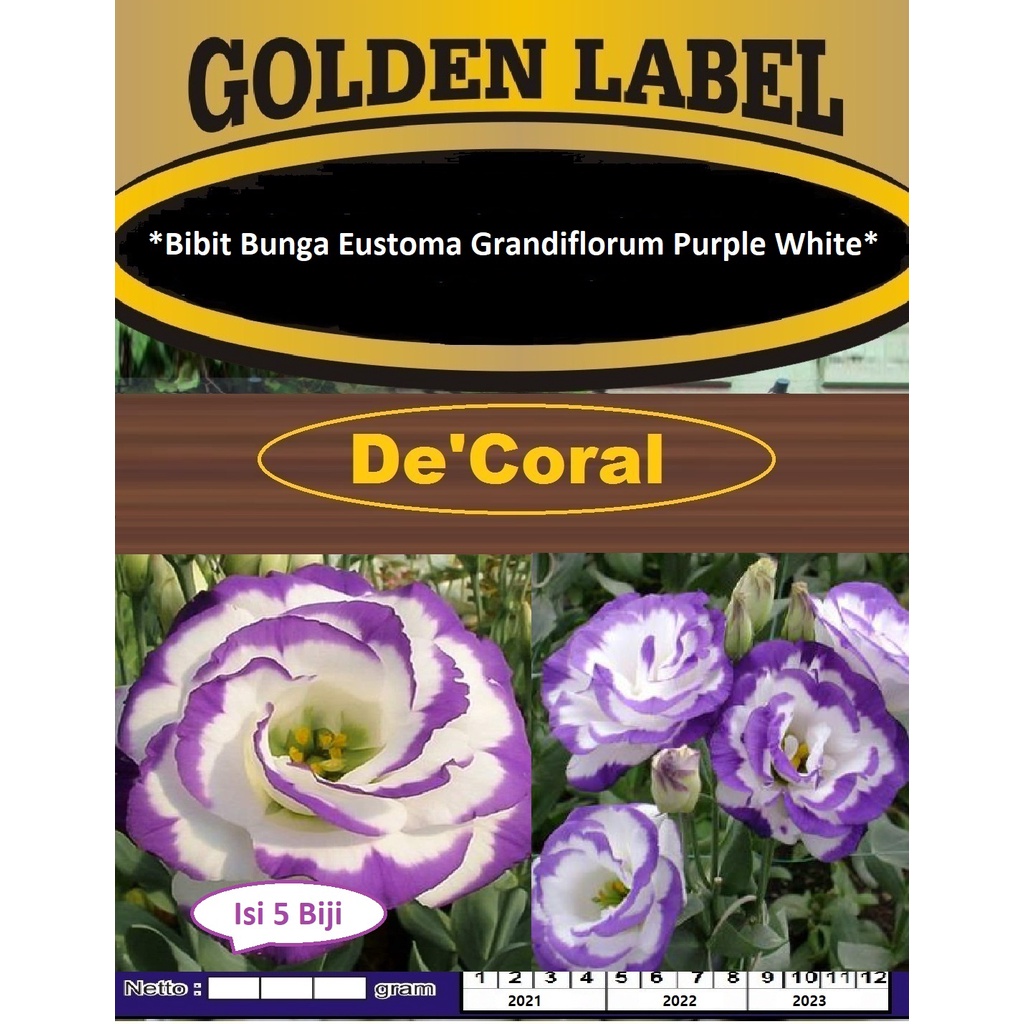 Bibit Bunga Eustoma Grandiflorum Purple White | Benih Bunga Eustoma Grandiflorum Purple White