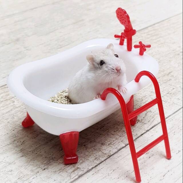 Tempat Mandi Hamster / Mainan Hamster