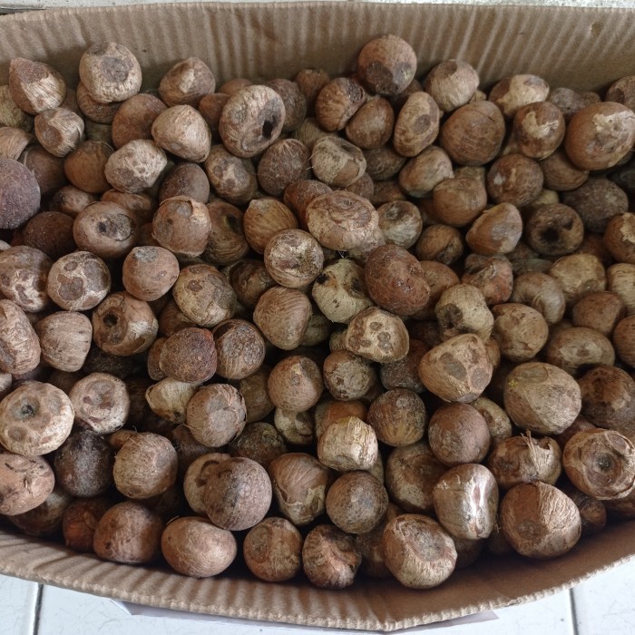 

JAMBE KERING / PINANG KERING