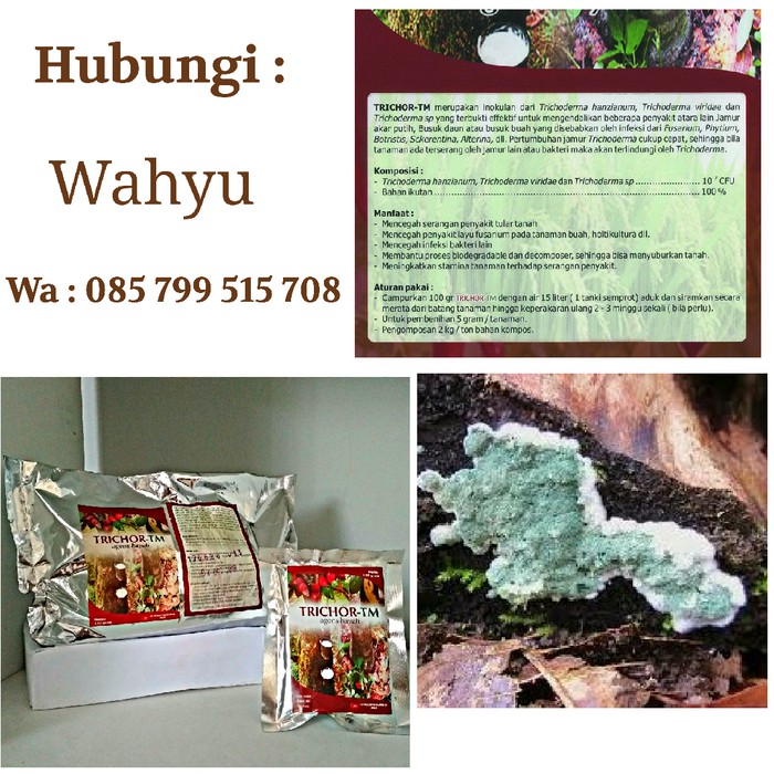 Pupuk Trichoderma 1kg