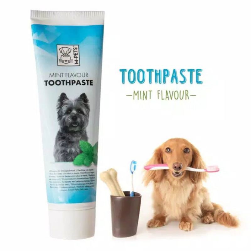 Pasta Gigi Anjing M-Pets Toothpaste 100gr Rasa Mint / Dog Toothpaste