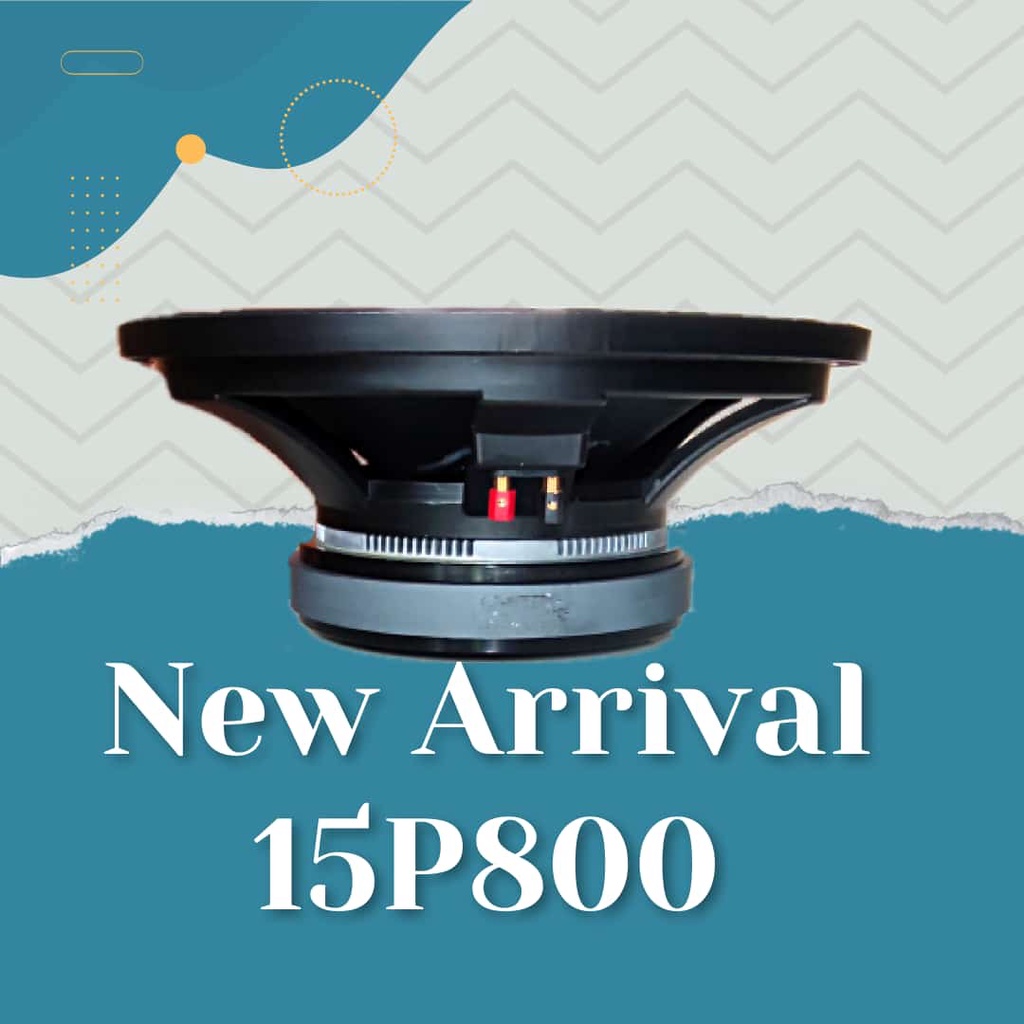 SPL Audio Speaker 15 Inch 15P800