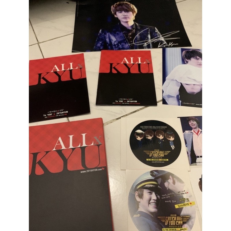 2kyuhyun 25th birthday kyuhyun dvd