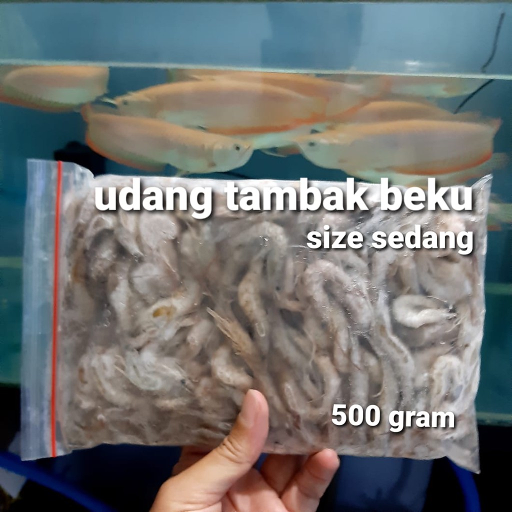 

Udang Tambak Beku Size Sedang Pakan Ikan predator Arwana Lohan Chana Oscar Pbas Pari