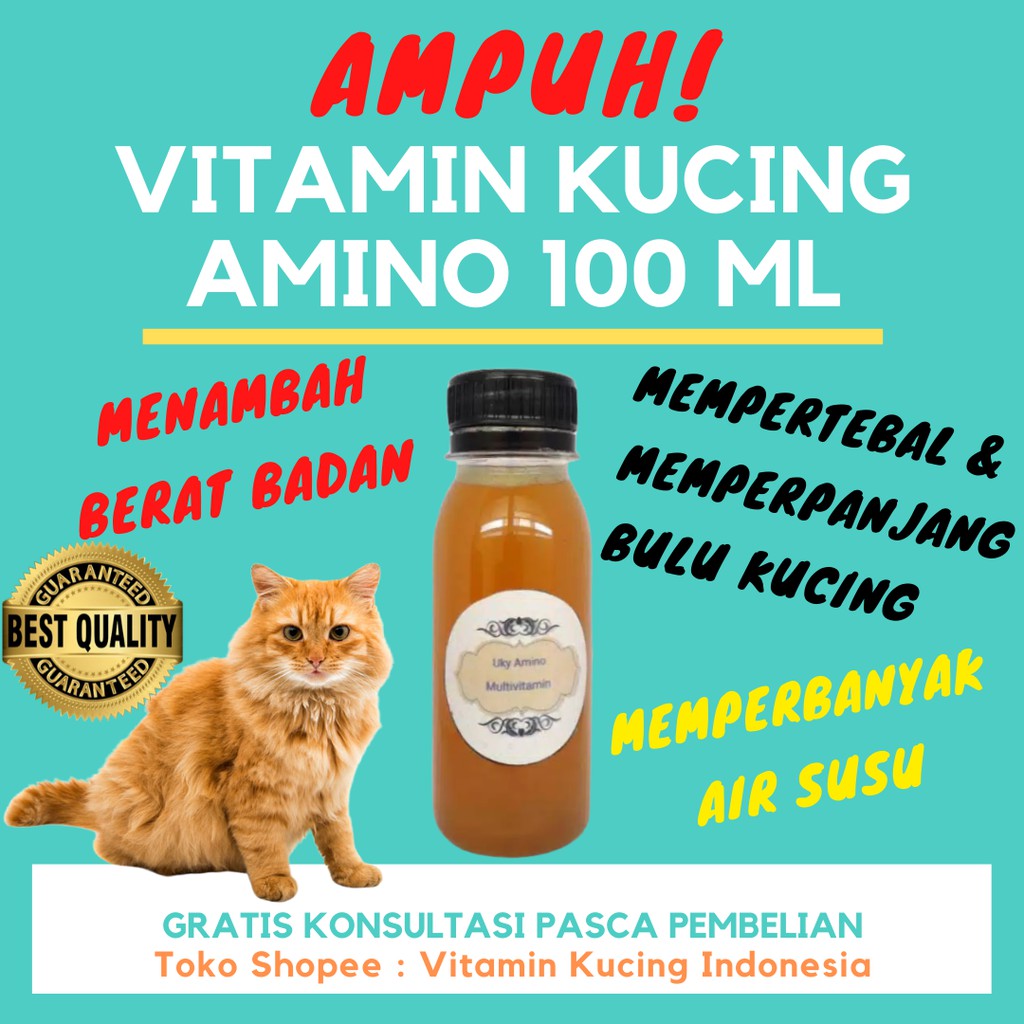  Vitamin  Kucing  Amino 100ml Multivitamin Kucing  Shopee 
