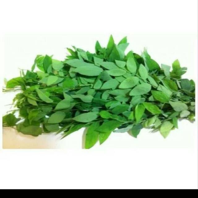 

Daun katuk segar 100 gram