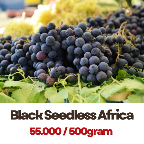 

Anggur Black Seedless Africa