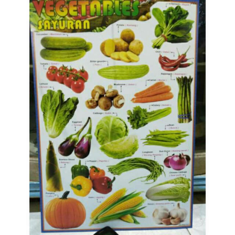 

Poster Edukasi Sayuran 50x35 Warna Gambar sayur mayur
