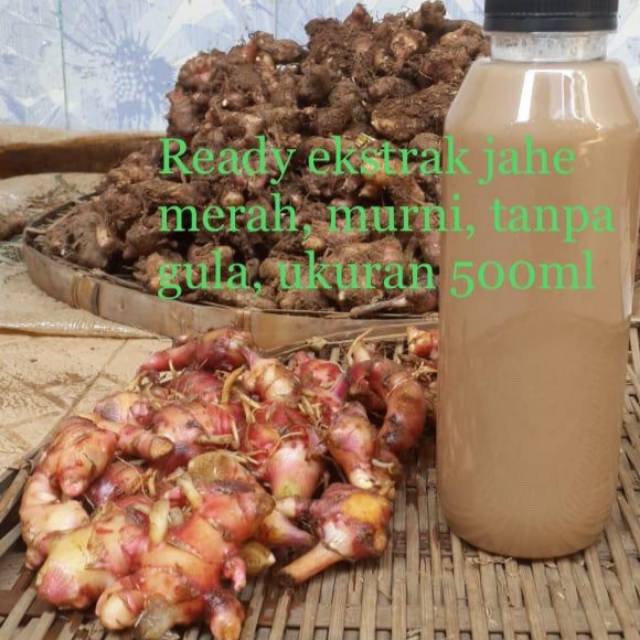 

JAHE MERAH MURNI EKSTRAK TANPA GULA