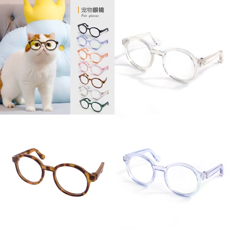 Pet Minho sunglass