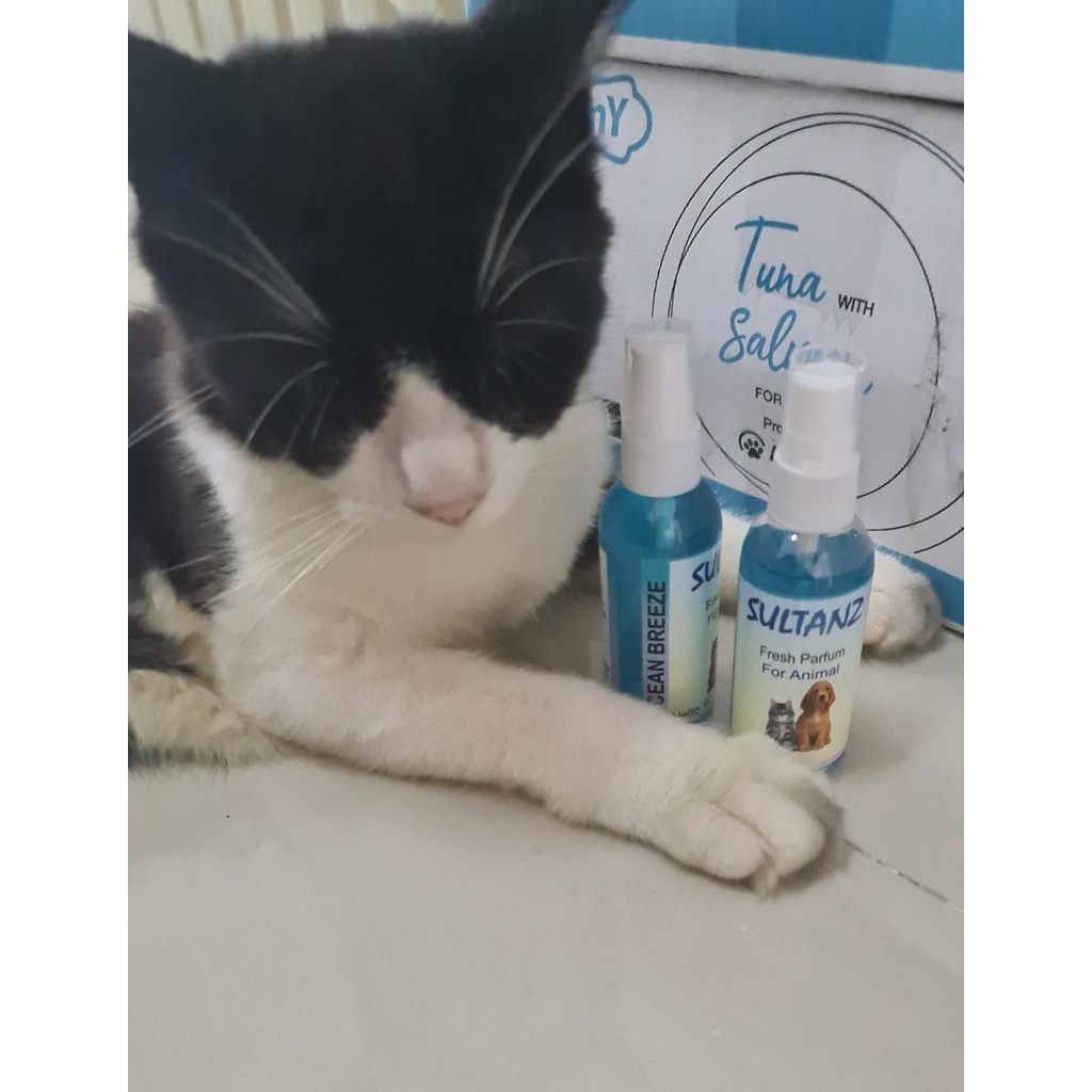 Parfum  Wangi Kucing dan Anjing Sultanz