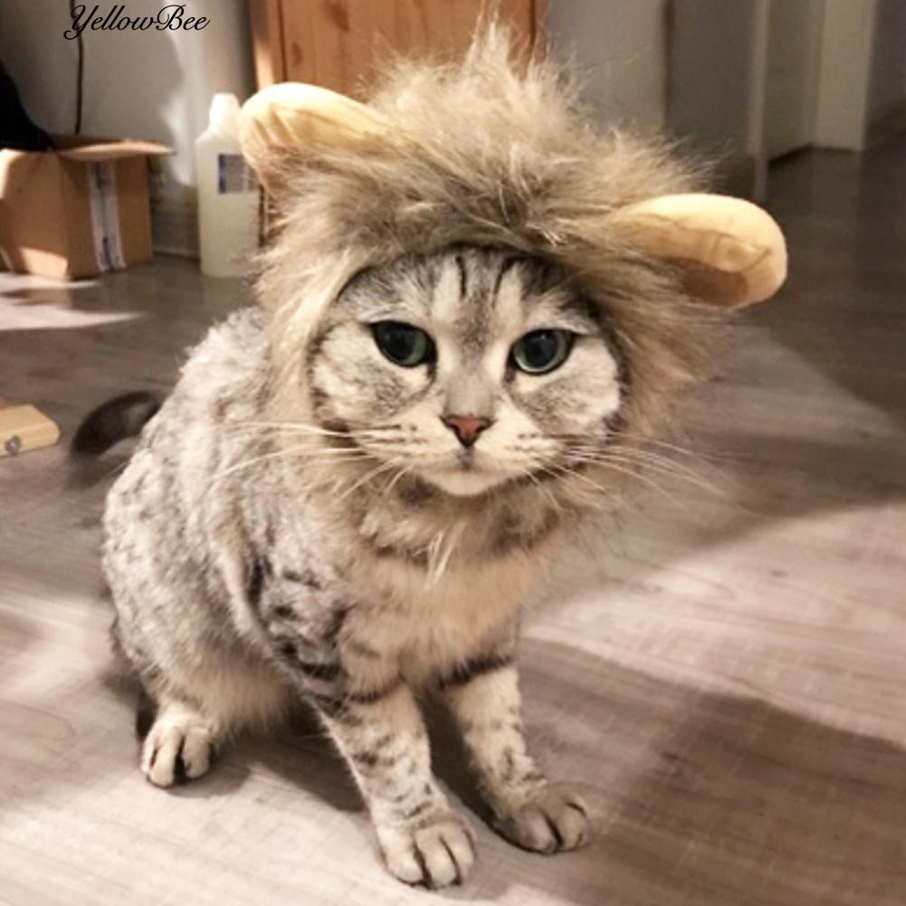 Wig Rambut Singa Palsu Lucu Untuk Kostum Cosplay Halloween Wig Rambut Singa Palsu Lucu Untuk Kostum Cosplay Halloween