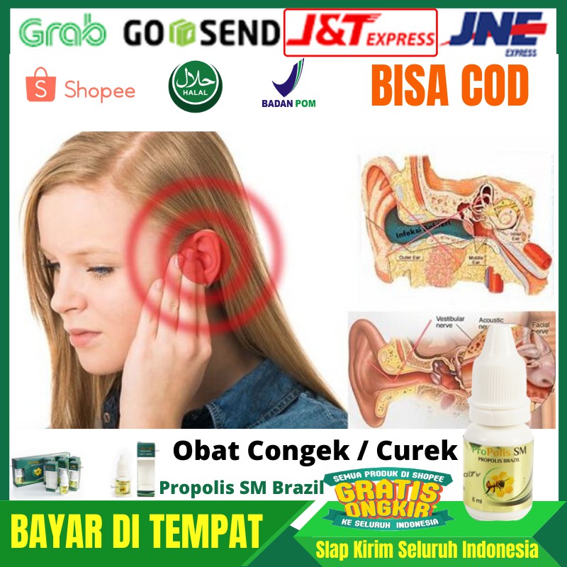 Obat Tetes Telinga Congek, Telinga Bernanah, Telinga Berair, Sakit kuping, Berdengung - PROPOLIS SM